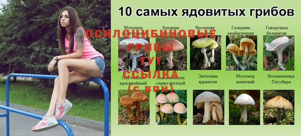 наркотики Дмитровск