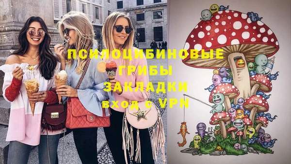 меф VHQ Дмитриев