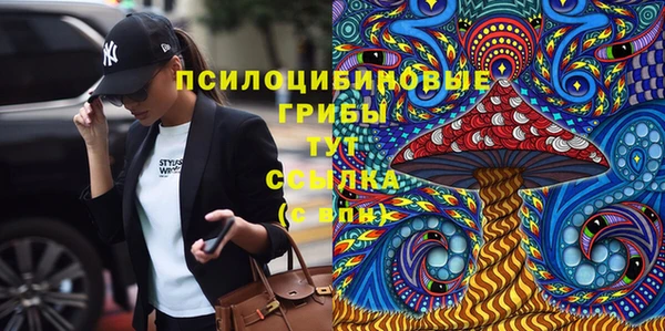 соль ск Гусиноозёрск