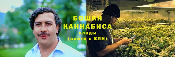 сатива Надым